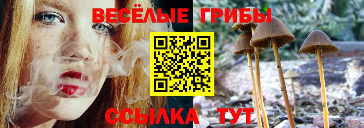 Псилоцибиновые грибы GOLDEN TEACHER Белгород