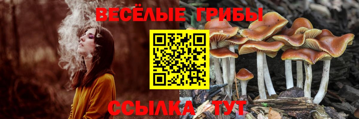 Белгород  Псилоцибиновые грибы Magic Shrooms  продажа наркотиков  Вход с VPN 